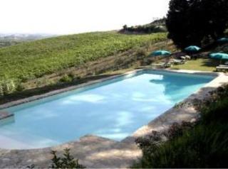 Agriturismo Bio Fattoria Bacio Certaldo Extérieur photo
