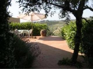 Agriturismo Bio Fattoria Bacio Certaldo Extérieur photo